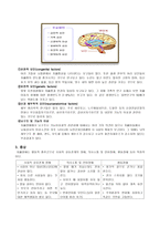발달장애 자폐증-2