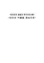 인터넷 악플 레포트-1