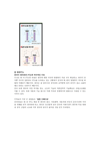 동북아 경제협력과 통합을 위한 로드맵 EU의 단일시장형 경제 공동체론을 중심으로-3