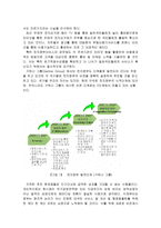 전자정부의 개념-10