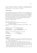 비교광고에 대해서-4
