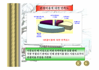 [관광서비스] 국내 관광서비스의 현황-19