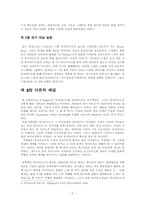 [영상매체] 뮤직비디오가 가수와 수용자에게 끼치는 영향-4