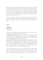 [영상매체] 컨셉이 있는 콘서트 속 가수의 이미지, 그리고 커뮤니케이션-4