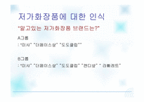 [광고연구] 여대생들의 저가화장품에 대한 인식 보고서-11