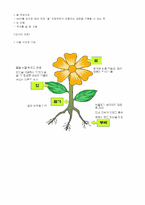 [수업지도안] 유아교육 학습지도안-4