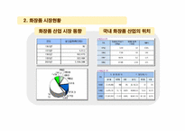 [국제마케팅] 가격전략-성공사례,미샤-8