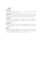 [인터넷마케팅] 미샤 뷰티넷 온-오프라인 마케팅 성공사례-17