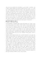 [인터넷저작권] MP3로인한 저작권 문제-6