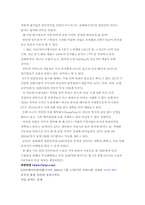 파란닷컴 분석및 전략제안 보고서-2
