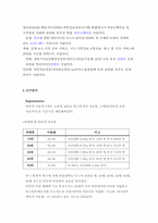 파란닷컴 분석및 전략제안 보고서-3