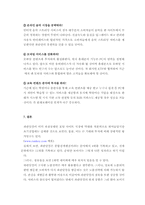 파란닷컴 분석및 전략제안 보고서-14