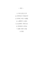 [국어작문] 각색을 통한 영화 발견-2