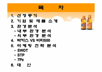 [마케팅] 비타500 마케팅전략 분석-2
