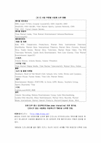 [국제커뮤니케이션] 다국적미디어기업의 현황과 문제점-9