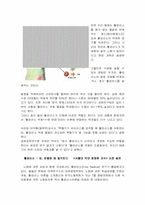 [체력과학] 운동 과연 좋기만 한 것인가-2