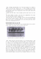 [기업모형] 블렌디드 러닝을 바탕으로 한 현대인재개발원의 모형-2