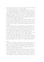 [세계사]로마의 문화와 생활상-6
