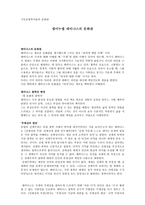 기독교 철학자들의 문화관 엠마누엘레 비나스의 문화관-1