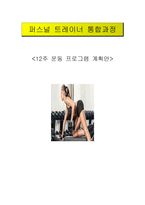 퍼스널 트레이너 통합과정 12주 운동프로그램 계획안2-1