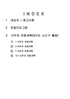 퍼스널 트레이너 통합과정 12주 운동프로그램 계획안2-2