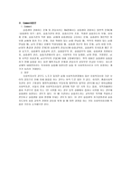 실습생이 경험하는 문제와 관심사 사회복지현장실습의 이해-5
