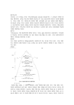 Satir모델 경험적 가족치료-4