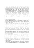 여성과 현대사회정신분석학적 여성주의-4