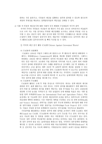 정부의 예산낭비의 현실태와 개선방안-8