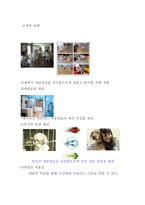 애견동물 테마파크 사업계획서-7
