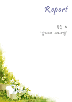 독일 분석과 발도르프 프로그램-1