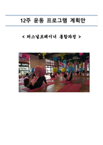 12주 운동프로그램 계획안 퍼스널 트레이너 통합과정-1