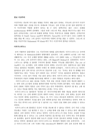 종교 이상주의 보고서-1