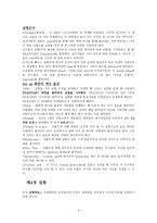 인지심리학 Mental Rotation 보고서-4