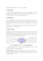 광고론 광고 크리에이티브-5
