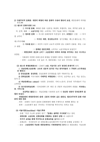 청소년 문화론 문화개념의 역사적 변환 과정-4