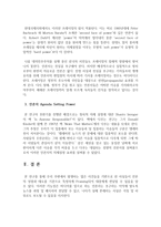한국정치 실습 언론비평 언론의 AgendaSetting과 Framing에 대한 우리의 자세-10