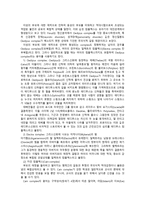 정신분석적 카운슬링 정신분석적 성격론 리비도 발달론-12