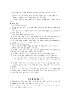 아동 발달 이론-4