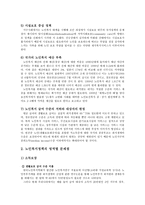 노인복지체계의 현행 노인복지정책의 전반적인 문제점-2