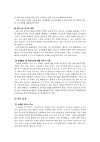 노인복지체계의 현행 노인복지정책의 전반적인 문제점-4