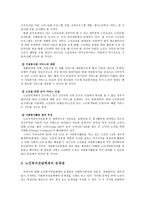 노인복지체계의 현행 노인복지정책의 전반적인 문제점-6