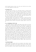 노인복지체계의 현행 노인복지정책의 전반적인 문제점-9