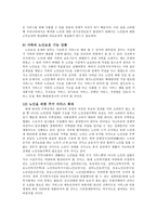 노인복지체계의 현행 노인복지정책의 전반적인 문제점-11