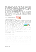 정부의 대안 레포트-3