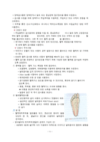 아동 검사물 수집-5