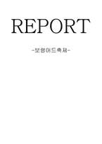 보령머드 축제 레포트-1