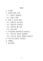 국내 입양의 실태와 및 해결책 국내 입양의 실태와 및 해결책-2