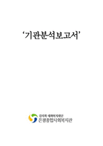 갑리 회태화 복지재단은 평 종합사회복지관 실습기관 분석 보고서-1