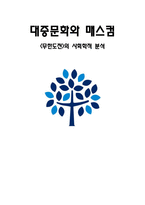 대중문화와 매스컴 무한도전의 사회학적 분석-1